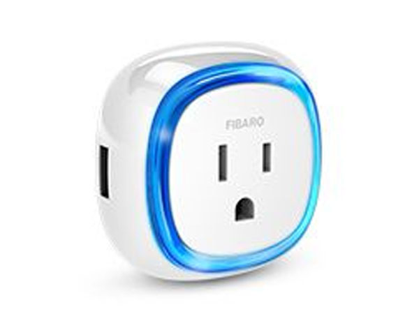 Wall Plug – type B FGWPB-111 | FGWPB-121